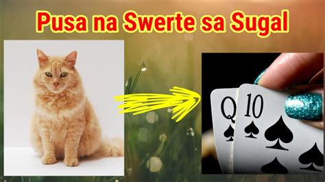 paano maging swerte sa sugal|Gawin mo Ito upang maging maswerte ang bawat laro mo SA .